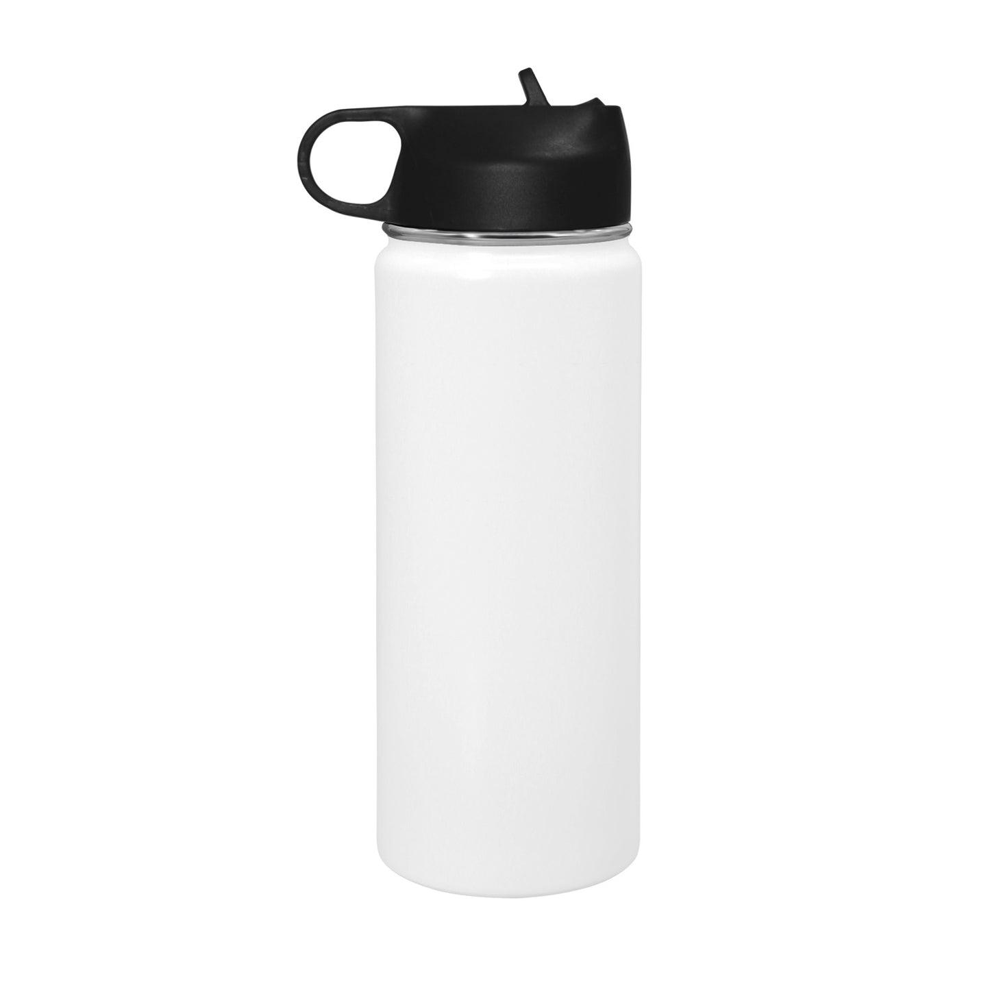 Blank Insulated Water Bottle with Straw Lid (18 oz)