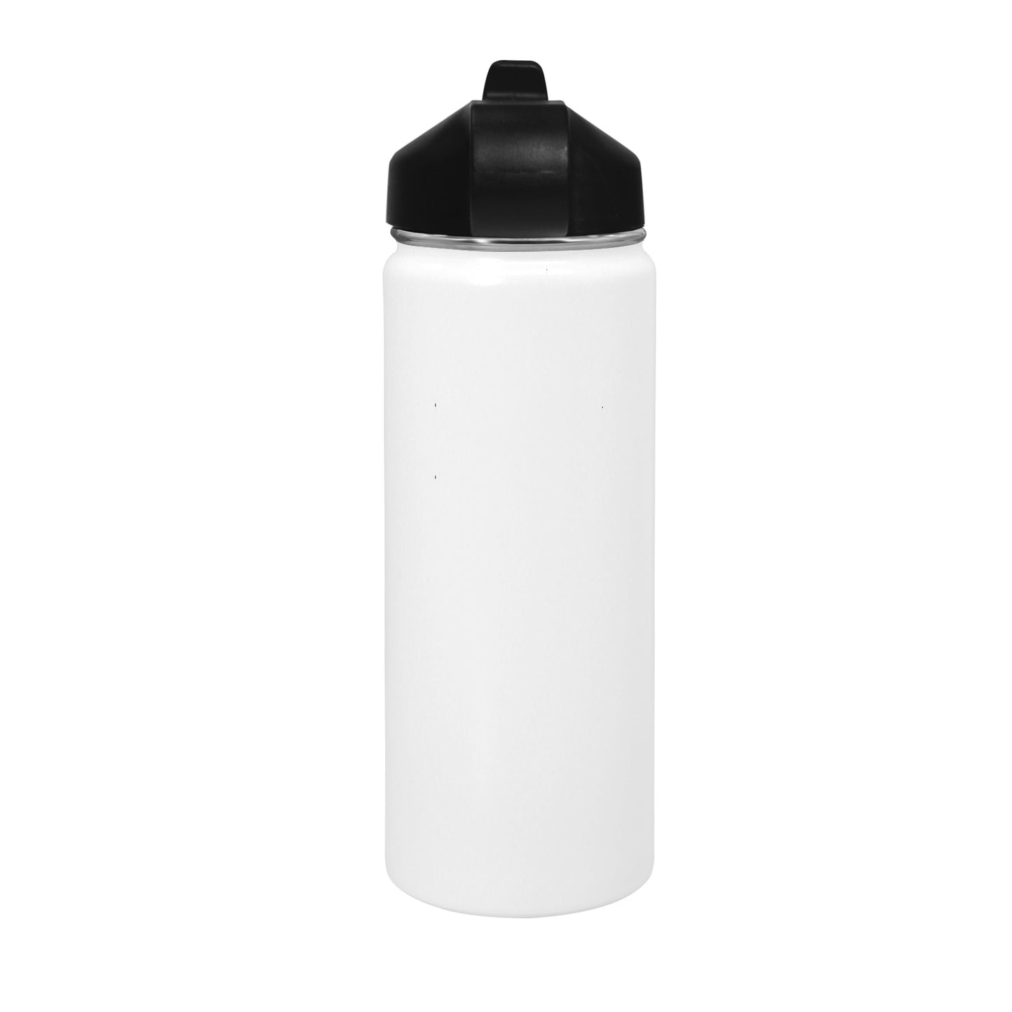 Blank Insulated Water Bottle with Straw Lid (18 oz)