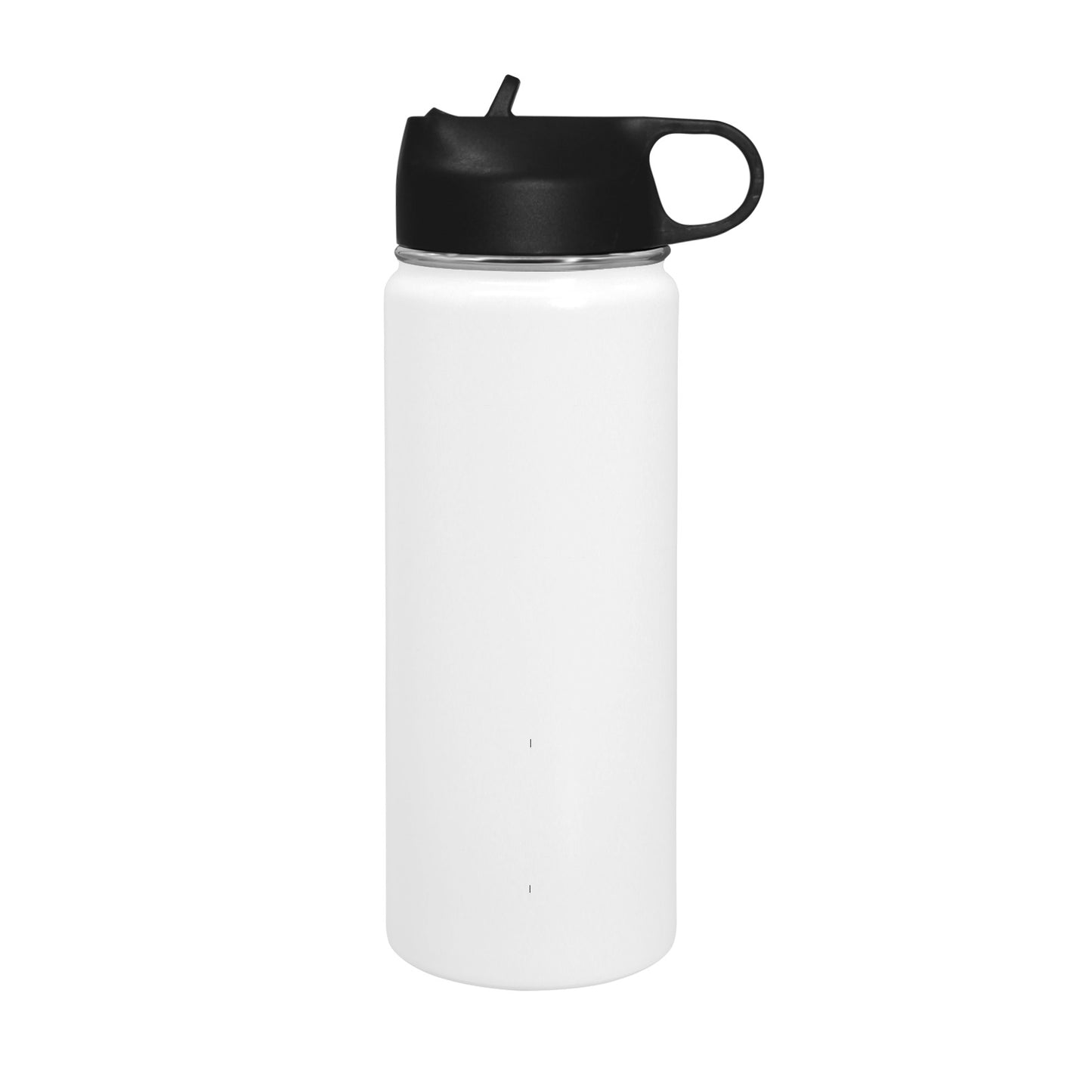 Blank Insulated Water Bottle with Straw Lid (18 oz)