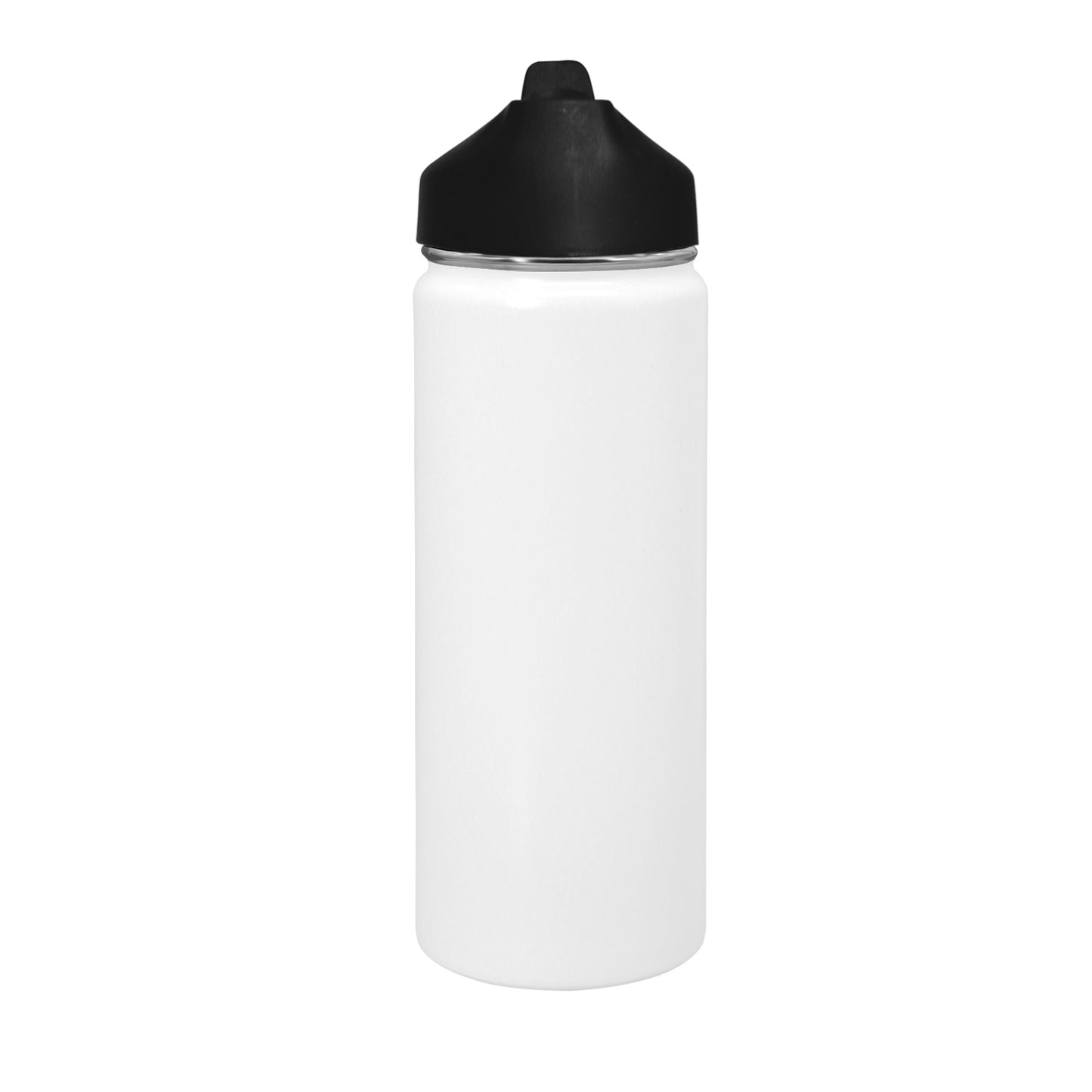 Blank Insulated Water Bottle with Straw Lid (18 oz)